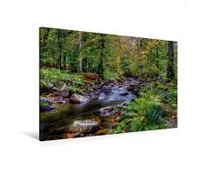 Calvendo Premium Textil-Leinwand 120 cm x 80 cm quer, Elendtal bei Schierke | Wandbild, Bild auf Keilrahmen, Fertigbild auf echter Leinwand, Leinwanddruck Menschen Menschen