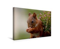 Premium Textil-Leinwand 45 x 30 cm Quer-Format Eichhörnchen Kinder - Strahlende Kinderaugen | Wandbild, HD-Bild auf Keilrahmen, Fertigbild auf hochwertigem Vlies, Leinwanddruck von Tine Meier