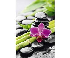 empireposter - Zen - Stillleben - Orchidee - Größe (cm), ca. 61x91,5 - Poster, NEU -