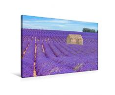 Premium Textil-Leinwand 75 x 50 cm Quer-Format Provence, Lavendelzeit in Südfrankreich | Wandbild, HD-Bild auf Keilrahmen, Fertigbild auf hochwertigem Vlies, Leinwanddruck von Joana Kruse