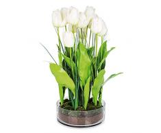 EUROCINSA Ref.50283C01 Schubladenschrank, Weiß, 1 Stück, Kunststoff, Glas, 30 x 68 cm