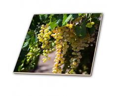 3dRose ct_206451_4 Keramikfliese, variiert