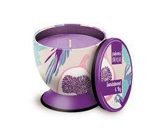 Pajoma Duftkerze UNIQUE Sandelwood-Fig, 240 g, Premium Duftkerze mit hohem Duftanteil, verschließbar, Brenndauer: 40 Stunden