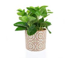 Candlelight Pflanzen, Zementtopf und Dreieck-Design, Grün, Rot und Weiß