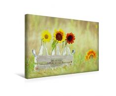 Premium Textil-Leinwand 45 x 30 cm Quer-Format Petites Fleurs | Wandbild, HD-Bild auf Keilrahmen, Fertigbild auf hochwertigem Vlies, Leinwanddruck von Avianaarts Design Fotografie by Tanja Riedel