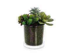 EUROCINSA Ref.64172C54 Schrank Mix Cactus Box 2 Stück, Kunststoff, Glas, Grün, 23 x 25 cm