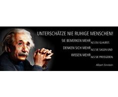 Schatzmix Spruch UnterschÃ¤tze nie ruhige Menschen-Einstein-Metallschild 27x10 cm Wanddeko tin Sign Blechschild, Blech, Mehrfarbig