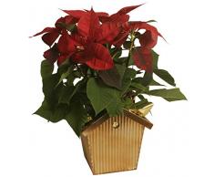 Wald Imports 0065 –/7 17,8 cm Sortiert Modern Metals Vogelhaus Pflanzgefäßen