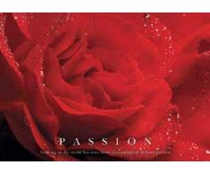 Motivational - Passion Rose - Natur Poster Foto Rosen - Grösse 86x61 cm