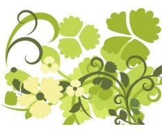 Indigos 4051719803327 Wandtattoo ME050 Tribal Ranke Pflanze Blume 96 x 70 cm