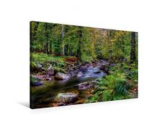 Calvendo Premium Textil-Leinwand 90 cm x 60 cm quer, Elendtal bei Schierke | Wandbild, Bild auf Keilrahmen, Fertigbild auf echter Leinwand, Leinwanddruck Menschen Menschen