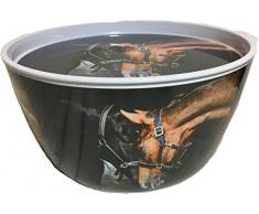 COUNTRY MATTERS Old Friends Pferd Design Große Salatschüssel mit Deckel/Tablett, Melamin, Mehrfarbig, 10 x 27,5 x 14 cm