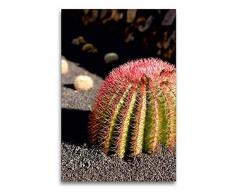 Premium Textil-Leinwand 60 x 90 cm Hoch-Format Sonnenhungriger Kaktus mit hübschen roten Stacheln | Wandbild, HD-Bild auf Keilrahmen, Fertigbild auf hochwertigem Vlies, Leinwanddruck von elke kunkel fotografie