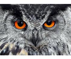 AG Design FTM 0840 Eule, Papier Fototapete - 160x115 cm - 1 Teil, Papier, multicolor, 0,1 x 160 x 115 cm