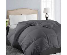 EASELAND Ganzjahresdecke weiche Gesteppte Daunen Alternative Comforter Hotel Collection wendbar Betteinlage mit Ecktabs, Winter warm flauschig hypoallergen, dunkelgrau, Queen(88x88 Inches)