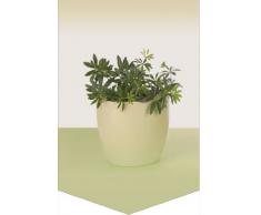 Horn textiles Calypso 1 Fensterbild Blumentopf, 30 cm x 45 cm, halbtransparent