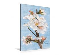 Calvendo Premium Textil-Leinwand 60 cm x 90 cm hoch, Mandelblütenzweig Algarve - Pastellkreide | Wandbild, Bild auf Keilrahmen, Fertigbild auf Echter Leinwand. mit Ihrer puren Schönheit Kunst Kunst