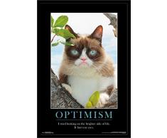 Unbekannt Trends International Wand Poster FC Barcelona Neymar JR Gerahmte Version 22.375 x 34