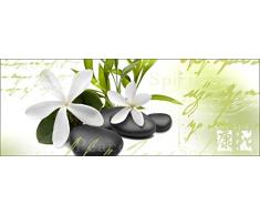 Pro-Art gla357o Wandbild Glas-Art Feng Shui I, 50 x 125 cm