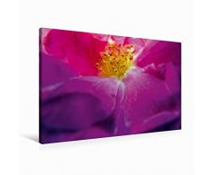 Premium Textil-Leinwand 90 x 60 cm Quer-Format FARBENHARMONIE Botanischer Garten Montreal | Wandbild, HD-Bild auf Keilrahmen, Fertigbild auf hochwertigem Vlies, Leinwanddruck von Philippe Henry