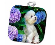 3dRose Topflappen, weiß, 20,3 x 20,3 cm