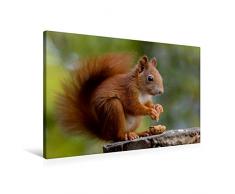 Premium Textil-Leinwand 90 x 60 cm Quer-Format Eichhörnchen Kinder - Zufriedener Blick | Wandbild, HD-Bild auf Keilrahmen, Fertigbild auf hochwertigem Vlies, Leinwanddruck von Tine Meier