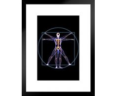 Poster Gießerei L Uomo Vitruviano Skelett Anatomie X Ray Foto Kunstdruck Foto Kunstdruck 20x26 inches Matted Framed Poster