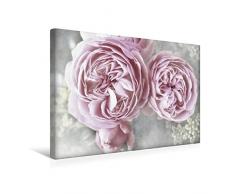 Premium Textil-Leinwand 45 x 30 cm Quer-Format Rosen Landhaus Shabby | Wandbild, HD-Bild auf Keilrahmen, Fertigbild auf hochwertigem Vlies, Leinwanddruck von Christine Bässler