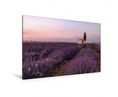 Premium Textil-Leinwand 120 x 80 cm Quer-Format Provence, Lavendelzeit in Südfrankreich | Wandbild, HD-Bild auf Keilrahmen, Fertigbild auf hochwertigem Vlies, Leinwanddruck von Joana Kruse