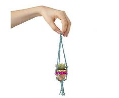 Natural Life Pink und Aqua Mini Macrame Sukkulente Andenken Schreibtisch Zum Aufhängen Pflanze