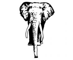 Apalis Fenstersticker No.TA8 Elefant - Glasfolie selbstklebend - Milchglasfolie 5 Farben Fensterfolie Sichtschutzfolie Milchglas Badezimmer Farbe: erfrischende Minze MaÃe: 175cm x 110cm