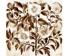 BaByliss Pro Tour Memorabilia 9-1308B Leinwandbild, 66 x 66 cm, Braun