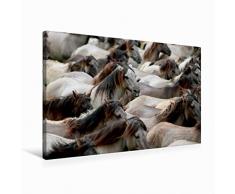 Premium Textil-Leinwand 75 x 50 cm Quer-Format Dülmener Wildpferde Herde | Wandbild, HD-Bild auf Keilrahmen, Fertigbild auf hochwertigem Vlies, Leinwanddruck von Barbara Mielewczyk