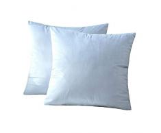 Lycra Home Samt Überwurf Kissenbezüge Set von 2 weichen Soild Dekorative Kissenbezüge für Wohnzimmer, Auto, Schlafzimmer, Sofa Bett 18x18in hellblau