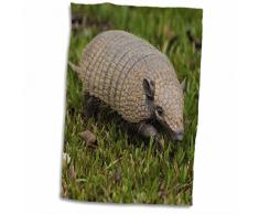 3dRose Colorful Handmade Patterns of a Ceramic Plate, Guanajuato, Mexico Handtücher, weiß, 15 x 22