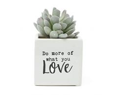 ReLIVE Dekorative Expressions Kunstpflanze Sukkulenten in quadratischem Keramiktopf Do More of What You Love