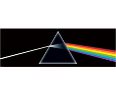 1art1 43795 Pink Floyd - Dark Side Of The Moon Tür-Poster (158 x 53 cm)