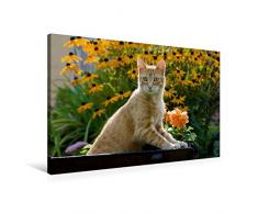 Premium Textil-Leinwand 90 x 60 cm Quer-Format Neugierige rot getigerter Katze in einem blühenden Garten | Wandbild, HD-Bild auf Keilrahmen, Fertigbild auf hochwertigem Vlies, Leinwanddruck von Katho Menden