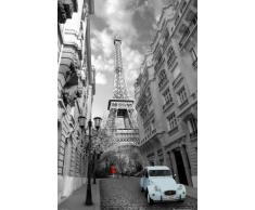 Empire 391025 Paris - Rotes Kleid Blaue Ente - Poster Foto Citroen Deux Chevaux 2CV - Grösse 61 x 91.5 cm