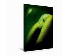 Premium Textil-Leinwand 30 cm x 45 cm hoch Grüne Mamba elegante Schönheit aber extrem giftig. | Wandbild, Bild auf Keilrahmen, Fertigbild auf echter Leinwand, Leinwanddruck