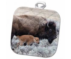 3dRose Topflappen, weiß, 20,3 x 20,3 cm