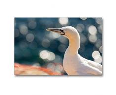 Premium Textil-Leinwand 90 x 60 cm Quer-Format Glitzerndes Wasser - Basstölpel | Wandbild, HD-Bild auf Keilrahmen, Fertigbild auf hochwertigem Vlies, Leinwanddruck von Katrin Streiparth