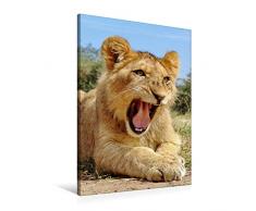 Premium Textil-Leinwand 60 x 90 cm Hoch-Format FAZINATION AFRIKA TIER PORTRAITS | Wandbild, HD-Bild auf Keilrahmen, Fertigbild auf hochwertigem Vlies, Leinwanddruck von Barbara Fraatz