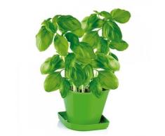 Tescoma 899060 Set für gesunde Kräuter Sense Basilikum