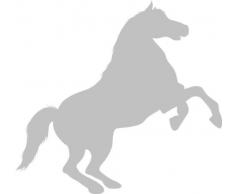 INDIGOS 4051095056935 Wandtattoo w618 Pferd Wandaufkleber in 3 Größen, 120 x 66 cm, silber