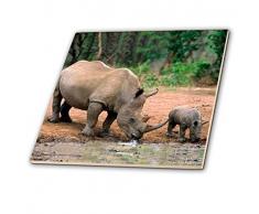 3dRose CT 1053 _ 4 schwarz Rhino, Nashorn Keramik Fliesen, 30,5 cm