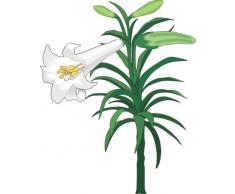 Indigos 4052166725897 Wandtattoo ME452 Trompetenblume 40 x 32 cm