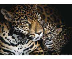 AG Design FTM 0497 Jaguare, Papier Fototapete - 160x115 cm - 1 Teil, Papier, multicolor, 0,1 x 160 x 115 cm
