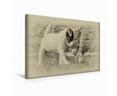 Premium Textil-Leinwand 45 x 30 cm Quer-Format Parson Jack Russell Welpe mit Spielzeug | Wandbild, HD-Bild auf Keilrahmen, Fertigbild auf hochwertigem Vlies, Leinwanddruck von Sonja TeÃen