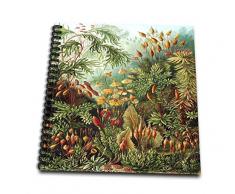 3dRose DB 62145 _ 1 berühmten Biologe Sketch von Pflanzen N Trees-Drawing Buch, 8 von 20,3 cm